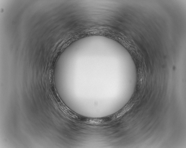 X0000087010758200704161306