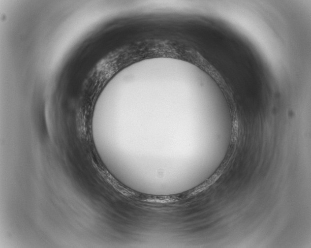 X0000087010765200704161306