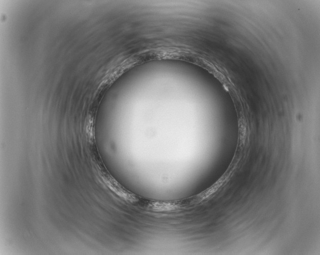 X0000087010766200704161306