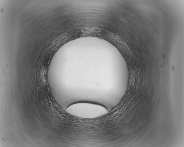 X0000087010770200704161305