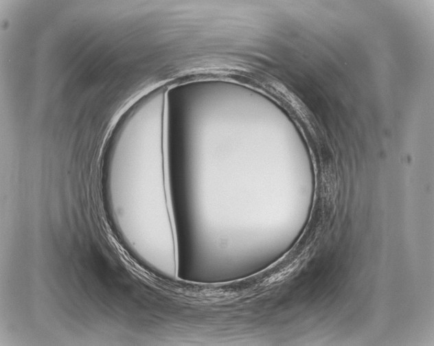 X0000087010779200704161305