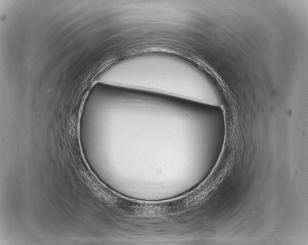 X0000087010785200704161305
