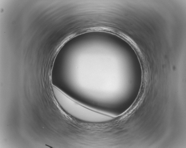 X0000087010809200704161305