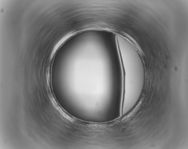 X0000087010812200704161305