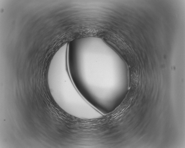 X0000087010818200704161304