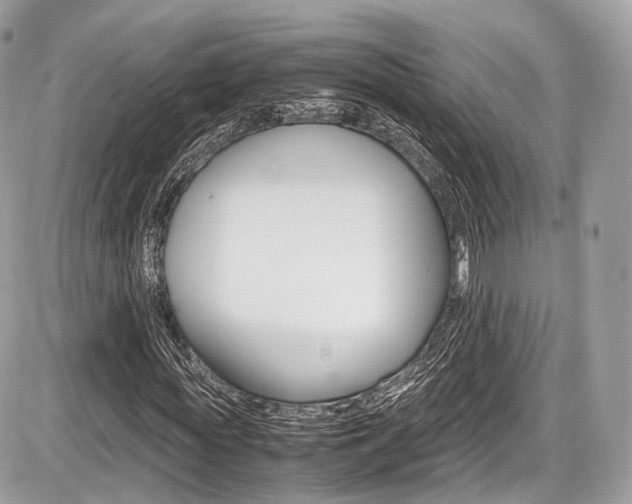 X0000087010819200704161304