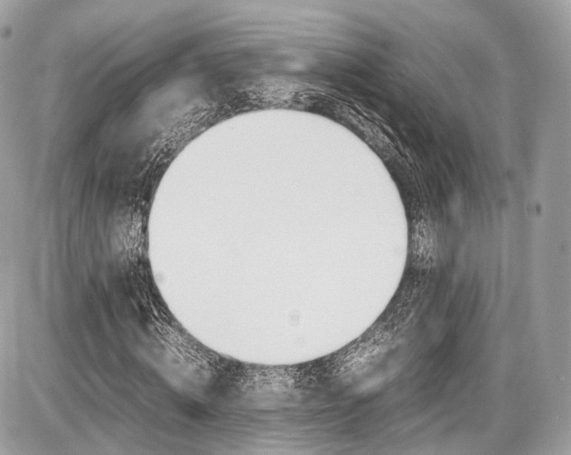 X0000087010820200704161304