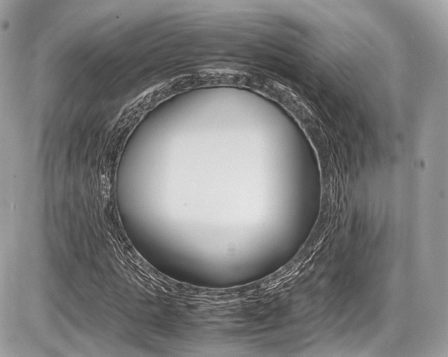 X0000087010821200704161304