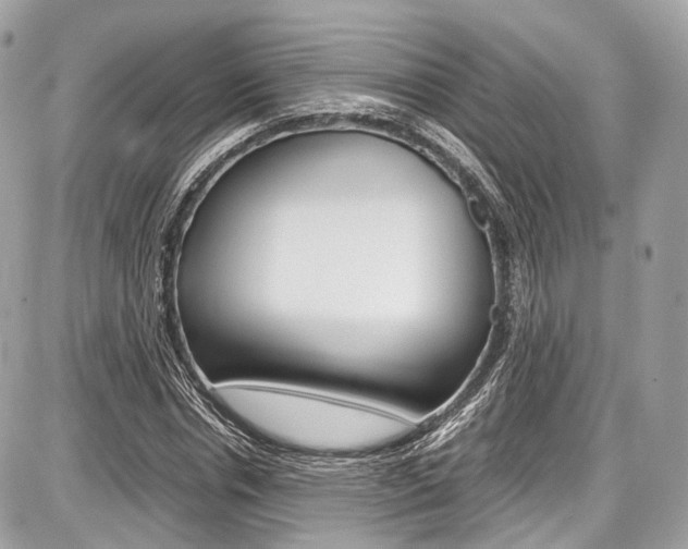 X0000087010826200704161304