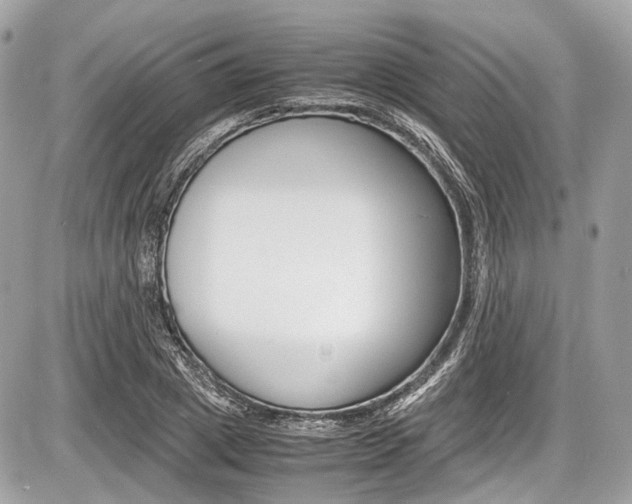 X0000087010833200704161304