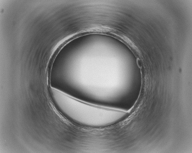 X0000087010838200704161304