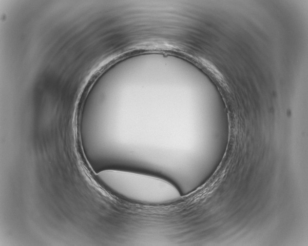 X0000087010840200704161304