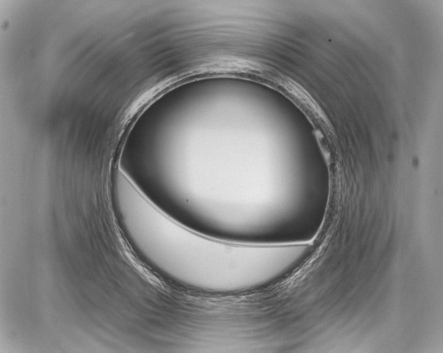 X0000087010842200704161304