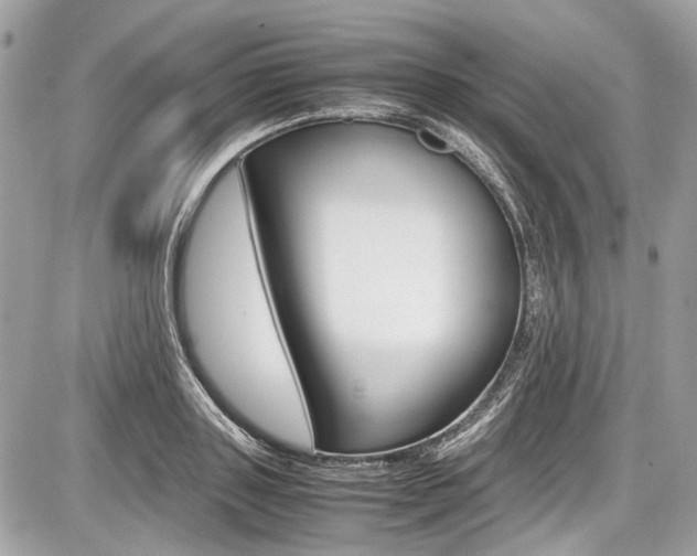 X0000087010843200704161304