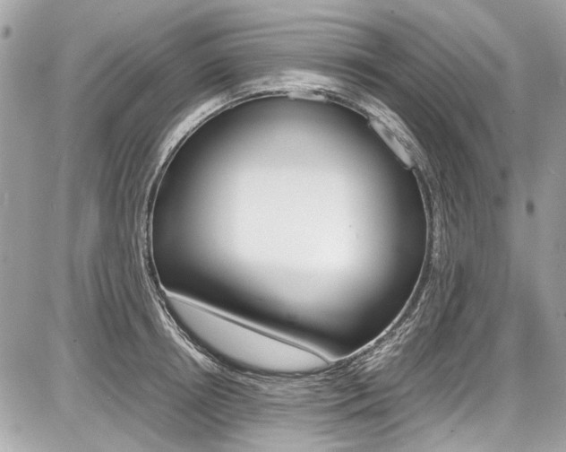 X0000087010850200704161304