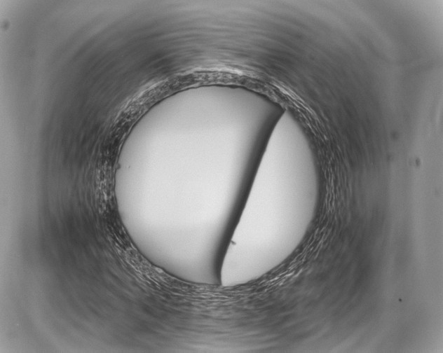 X0000087010870200704161304