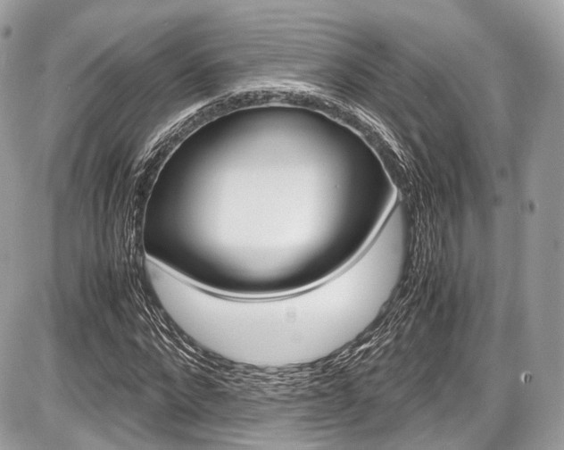 X0000087010872200704161304