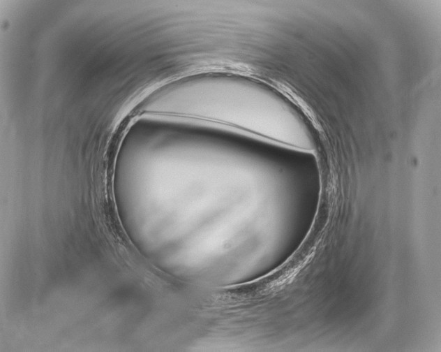 X0000087010877200704161303