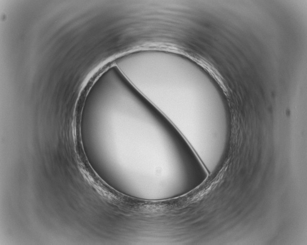 X0000087010888200704161303