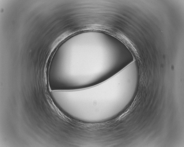 X0000087010892200704161303