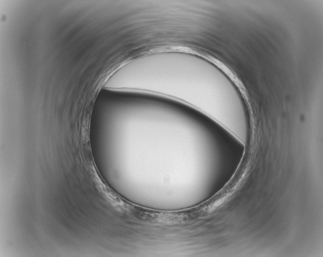 X0000087010905200704161303