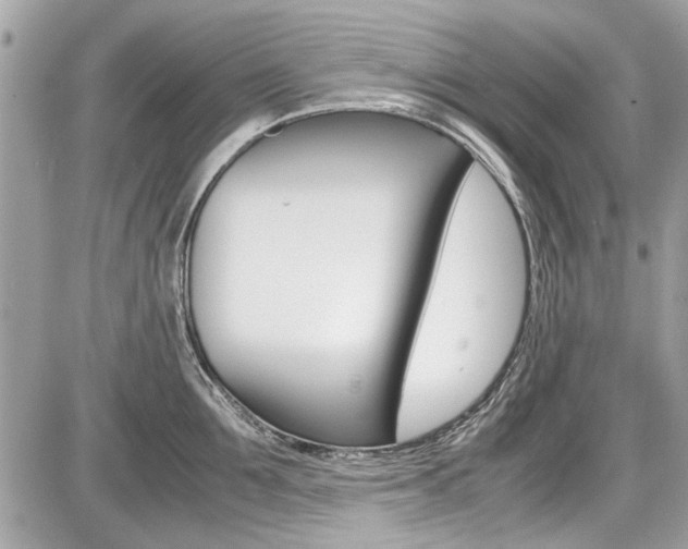 X0000087010907200704161303
