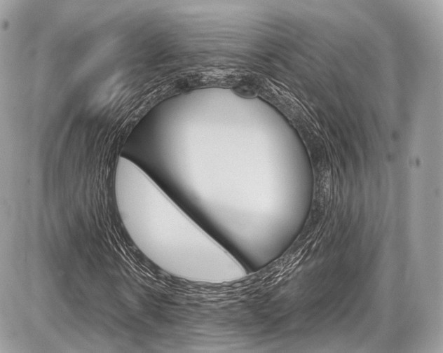 X0000087010914200704161302