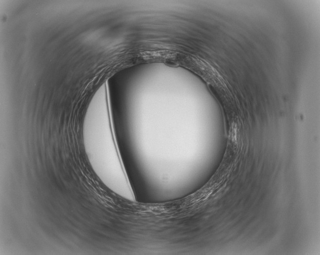 X0000087010915200704161302