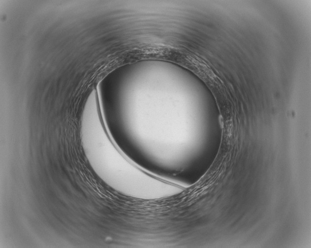 X0000087010916200704161302