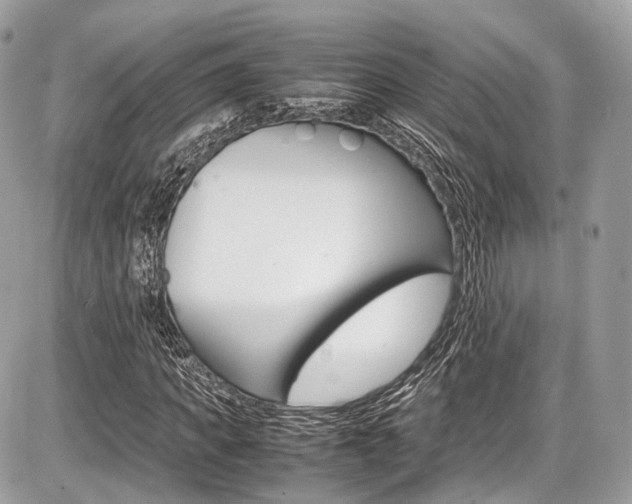 X0000087010917200704161302