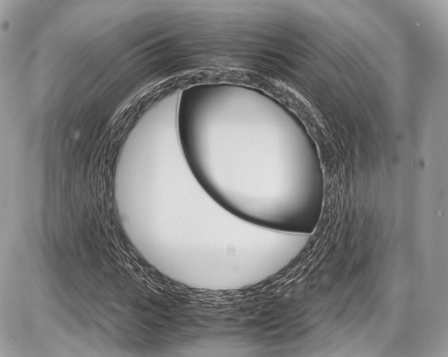 X0000087010919200704161302