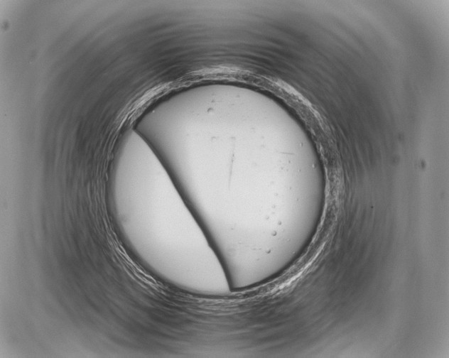 X0000087010921200704161302