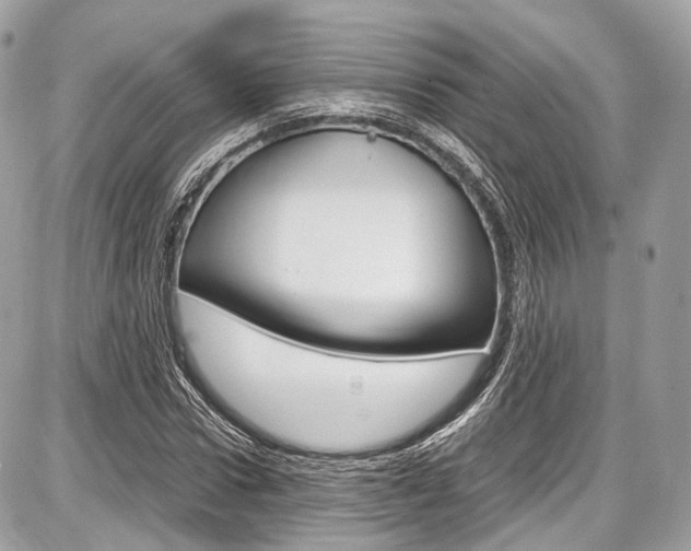 X0000087010922200704161302