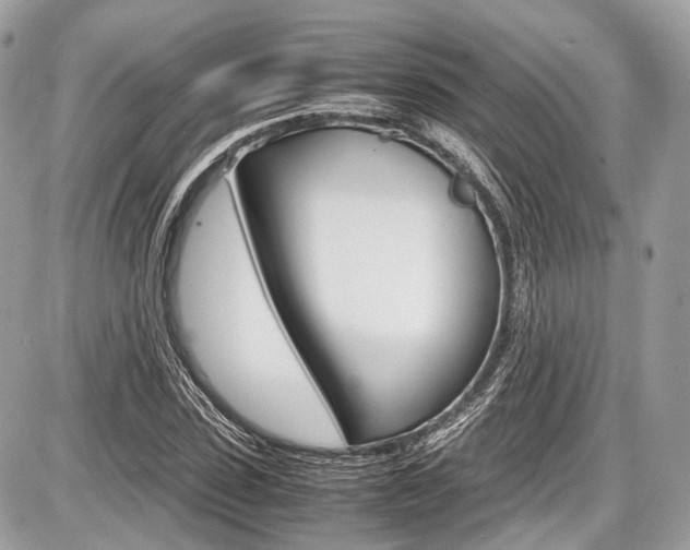 X0000087010923200704161302