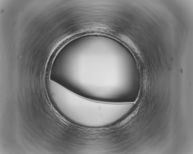 X0000087010924200704161302
