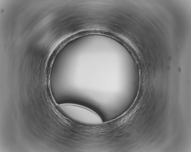 X0000087010927200704161302