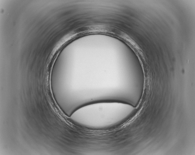 X0000087010933200704161302