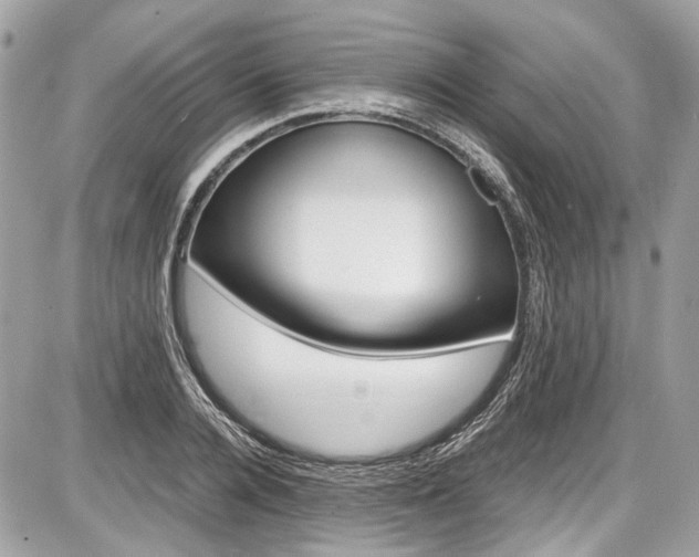 X0000087010936200704161302