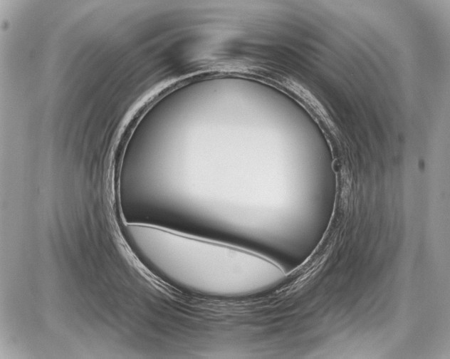 X0000087010939200704161302