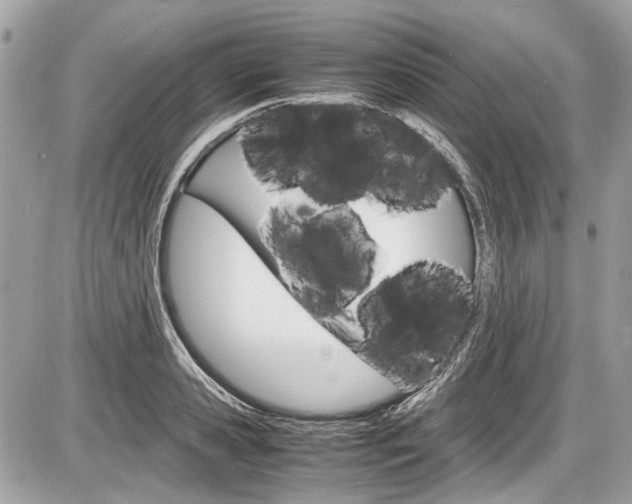 X0000087010941200704161303