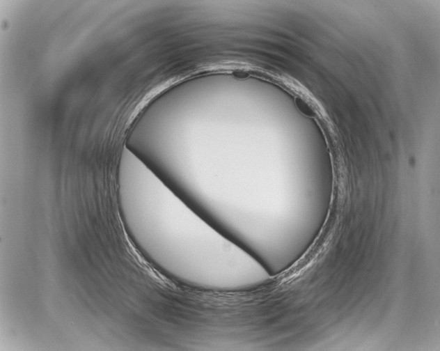 X0000087010945200704161303