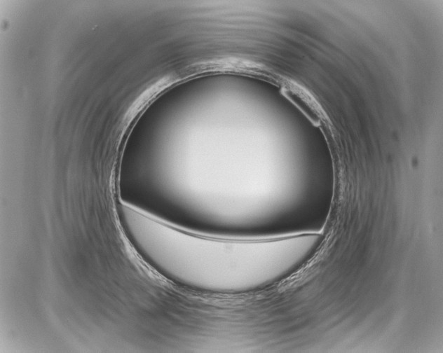 X0000087010946200704161303