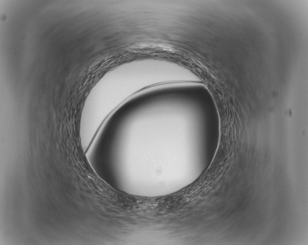 X0000087010965200704161302