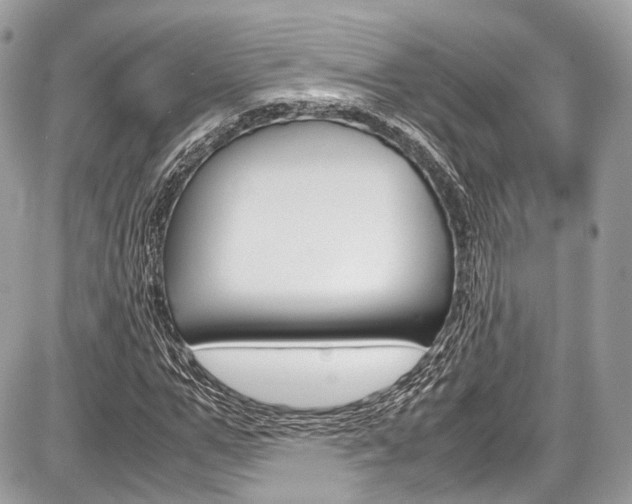 X0000087010967200704161302