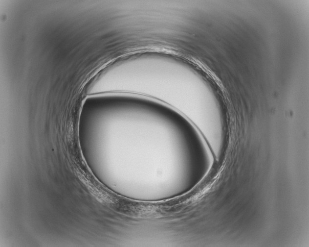 X0000087010969200704161302