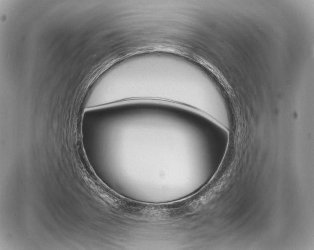 X0000087010977200704161302
