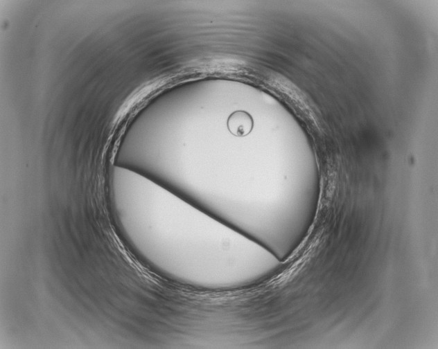 X0000087010978200704161302