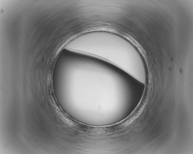 X0000087010993200704161301
