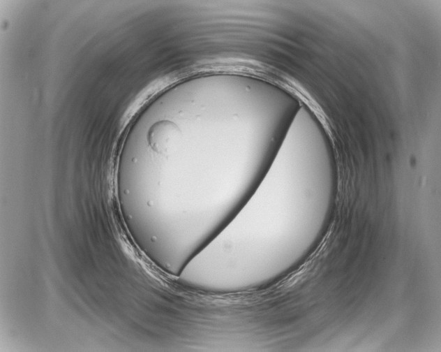 X0000087010994200704161301