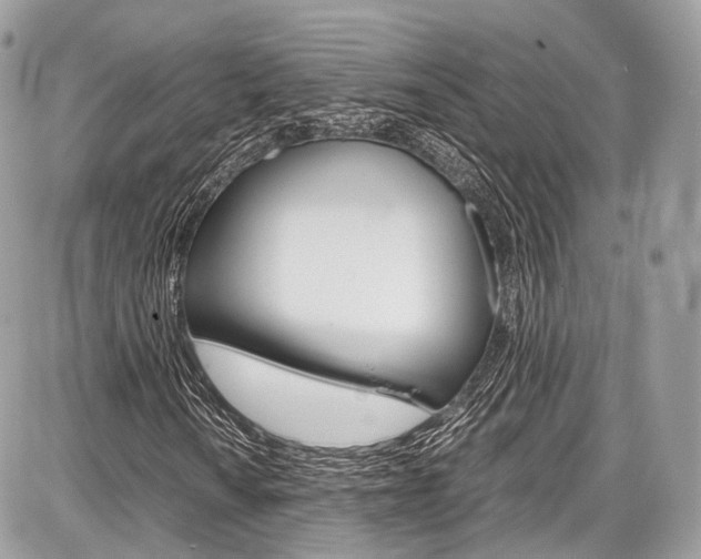 X0000087011010200704161300